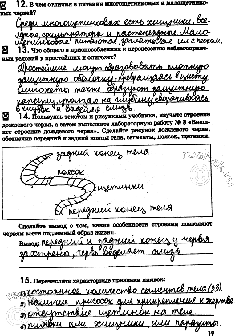 Изображение 12. В чем отличия в питании многощетинковых и малощетинковых червей?13. Что общего в приспособлениях к перенесению неблагоприятных условий у простейших и...