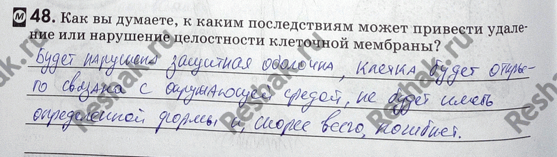 Изображение 48. Как вы думаете, к каким последствиям может привести удаление или нарушение целостности клеточной...