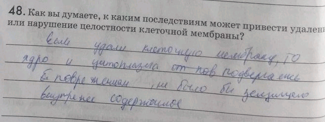Изображение 48. Как вы думаете, к каким последствиям может привести удаление или нарушение целостности клеточной...