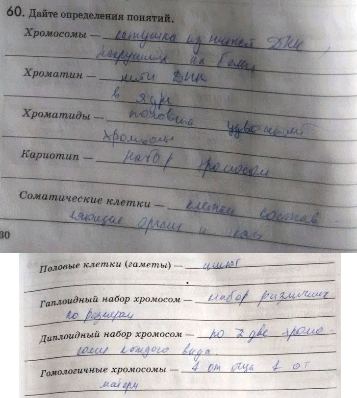 Изображение 60. Дайте определения понятий. Хромосомы —Хроматин —Хроматиды —Kapuomun —Соматические клетки —Половые клетки (гаметы) —Гаплоидный набор хромосом —Диплоидный...